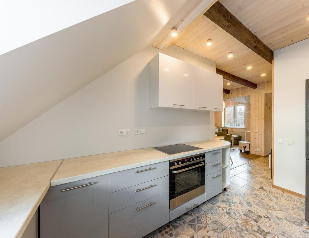 Shanghai Banzai Family Apartment ヴィリニュス エクステリア 写真